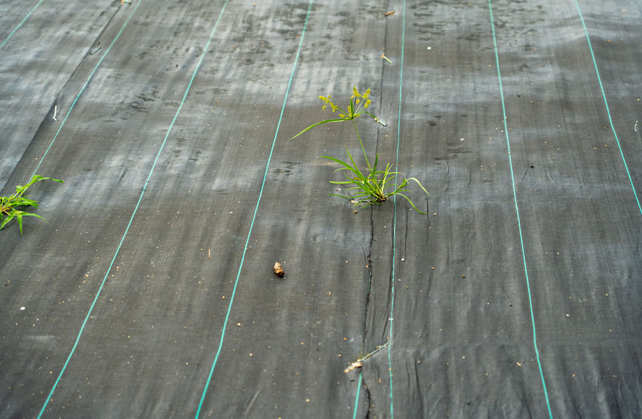 防草シート接着剤