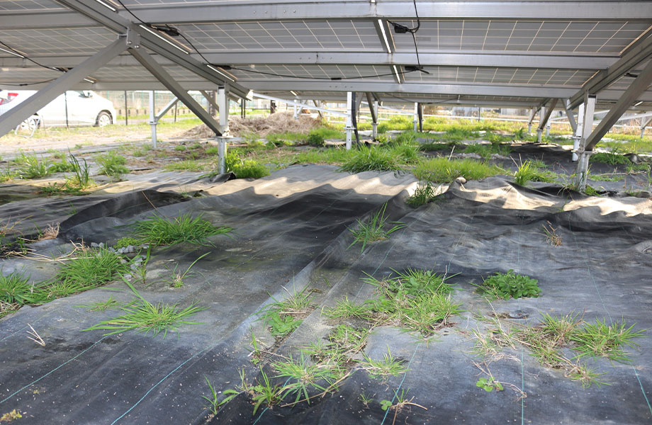 おすすめ接着剤　粘着テープ